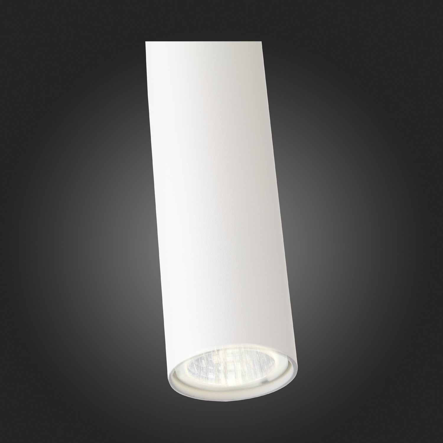 SL1592.503.01 Светильник подвесной ST-Luce Белый/Белый LED 1*6W 3000K TUORE