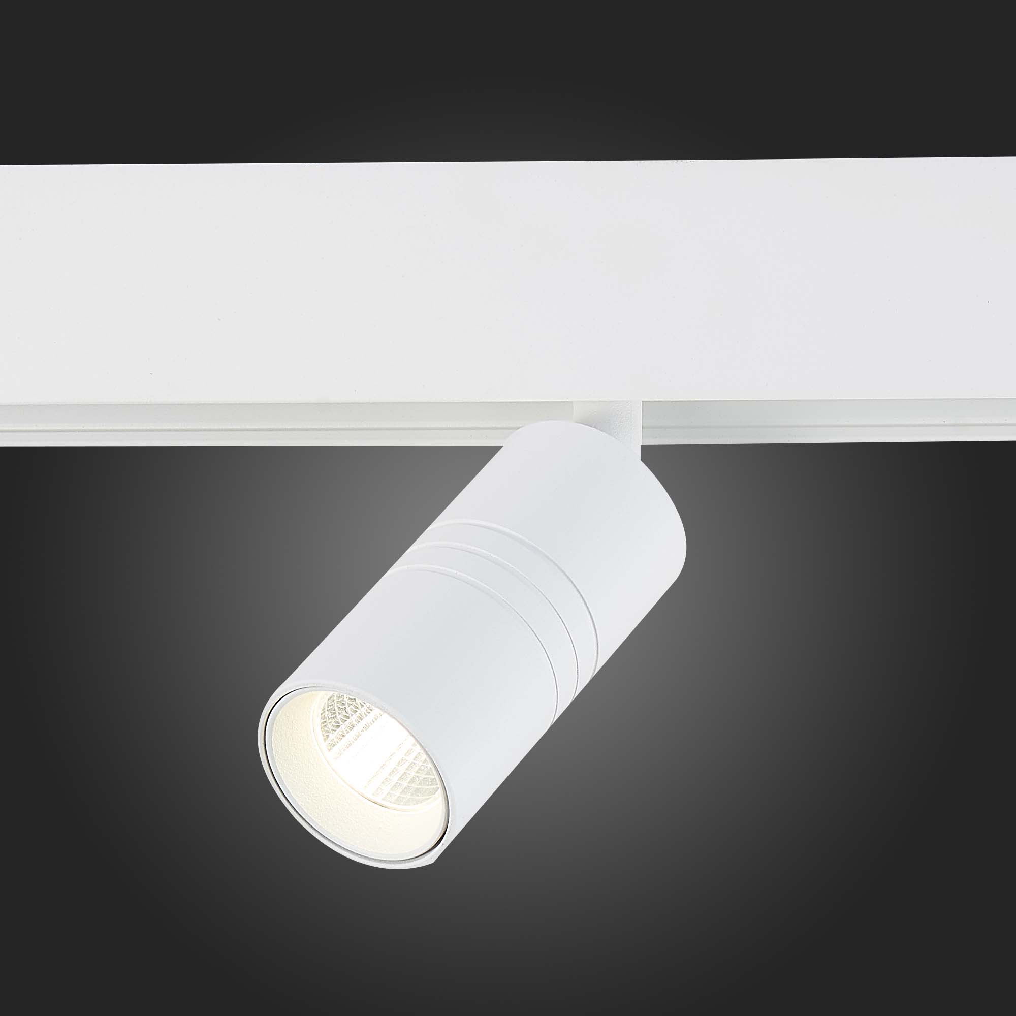 ST365.546.07 Магнитный трековый светильник белый LED 1*7W 4000K 595Lm Ra>80 36° IP20 L-xW44xH90 48V SKYLINE 48