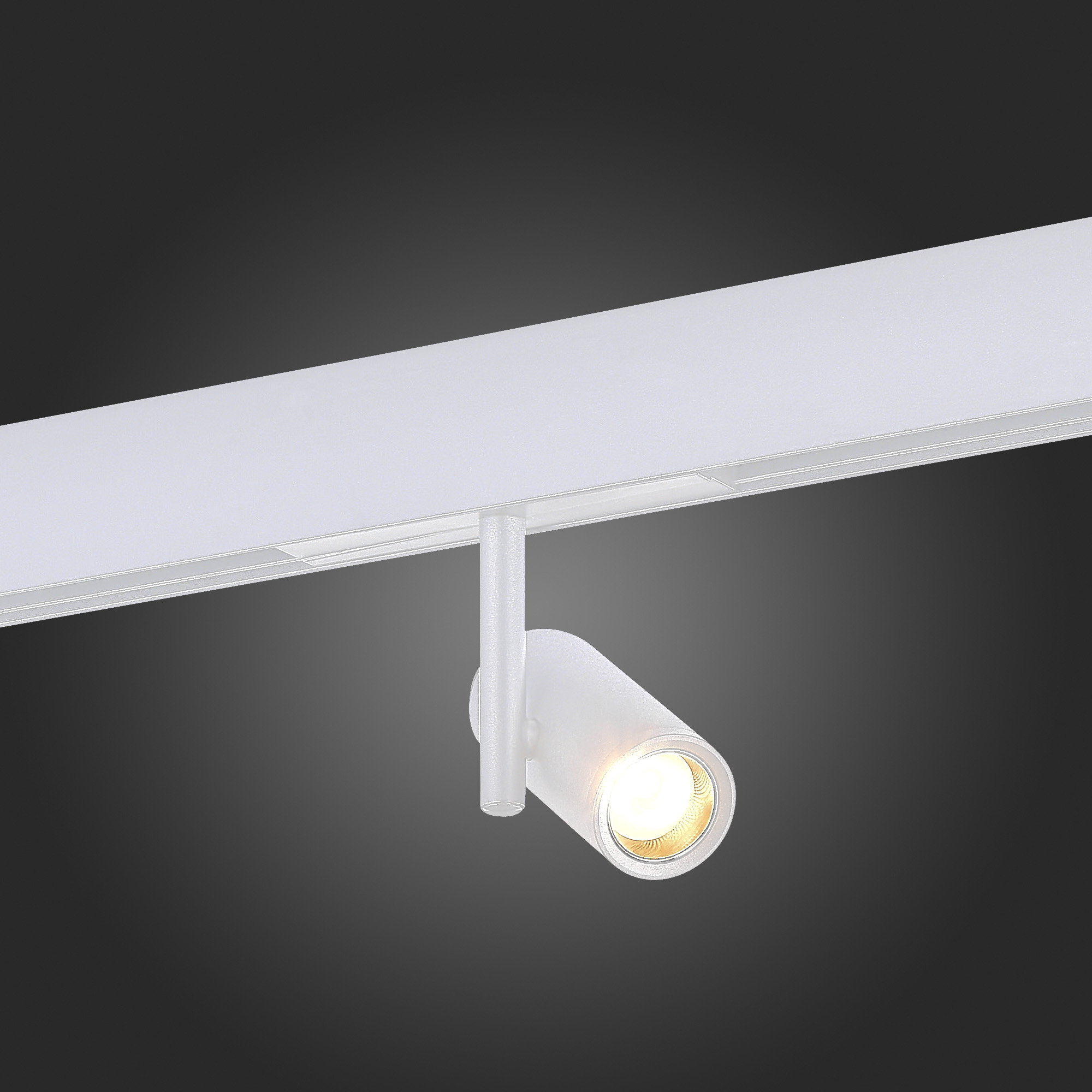 ST808.536.08 Магнитный трековый светильник Белый LED 1*8W 3000K 550Lm Ra>90 36° IP20 D42xH135 48VV SKYLINE 48