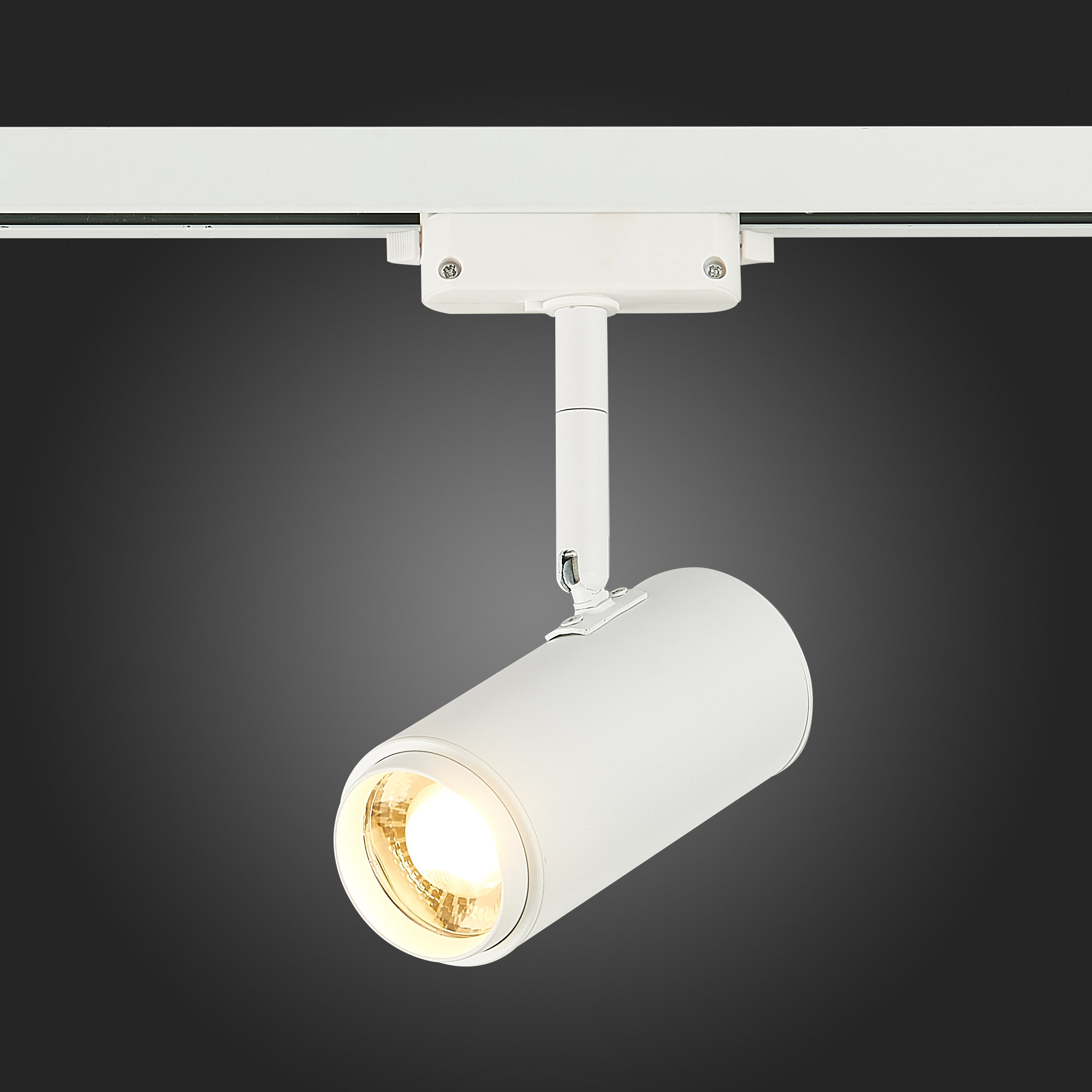 ST600.536.12 Св-к трек. Zoom Белый LED 1*12W 3000K 1 200Lm Ra>80 15-60° IP20 L137xW59xH178 170-240V Однофазная трековая система