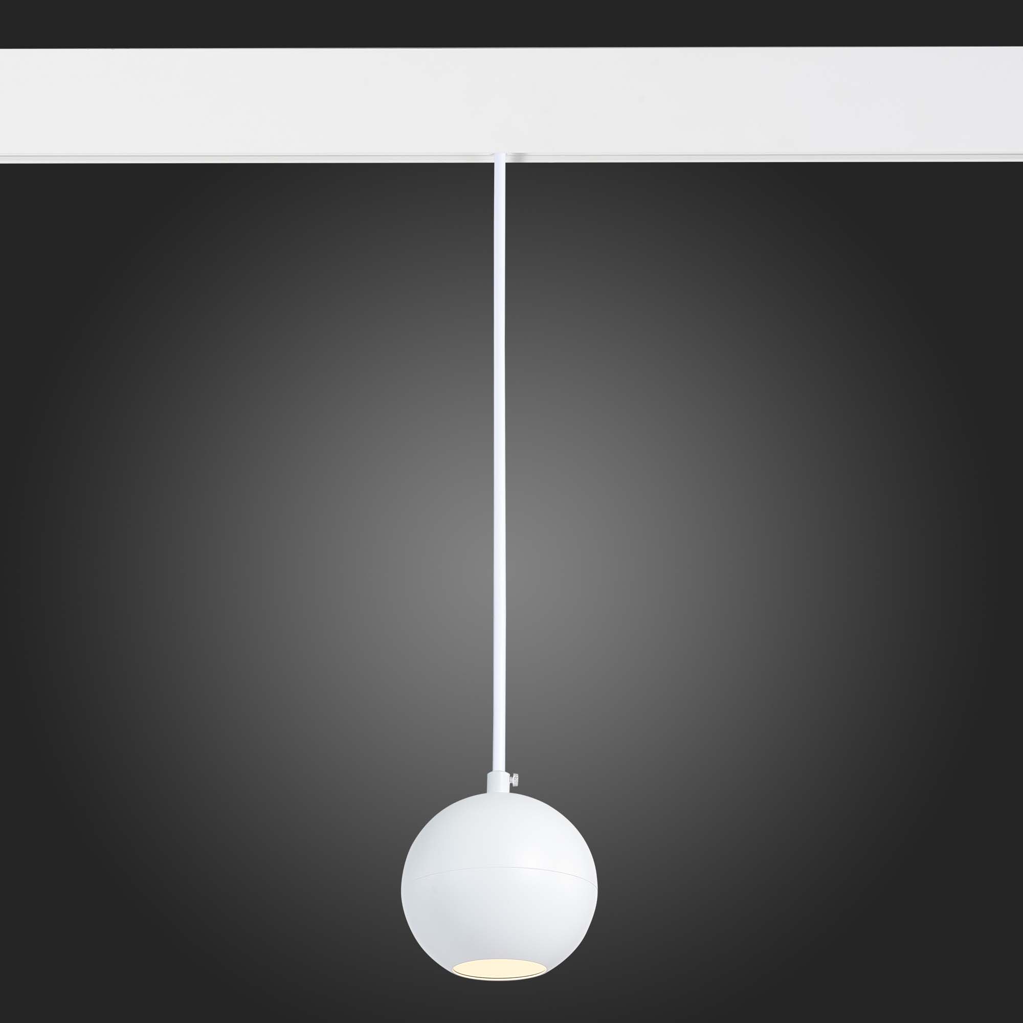 ST354.533.12 Магнитный трековый светильник подвесной Белый LED 1*12W 3000K 750Lm Ra>80 36° IP20 D100xH92 48V SKYLINE 48