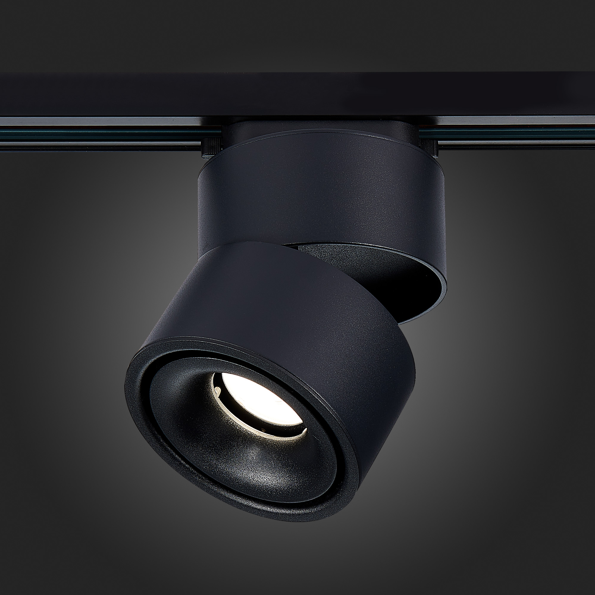 ST652.446.12 Св-к трек. Черный LED 1*12W 4000K 1 000Lm Ra>90 36° IP20 D100xH136 170-240VV Однофазная трековая система