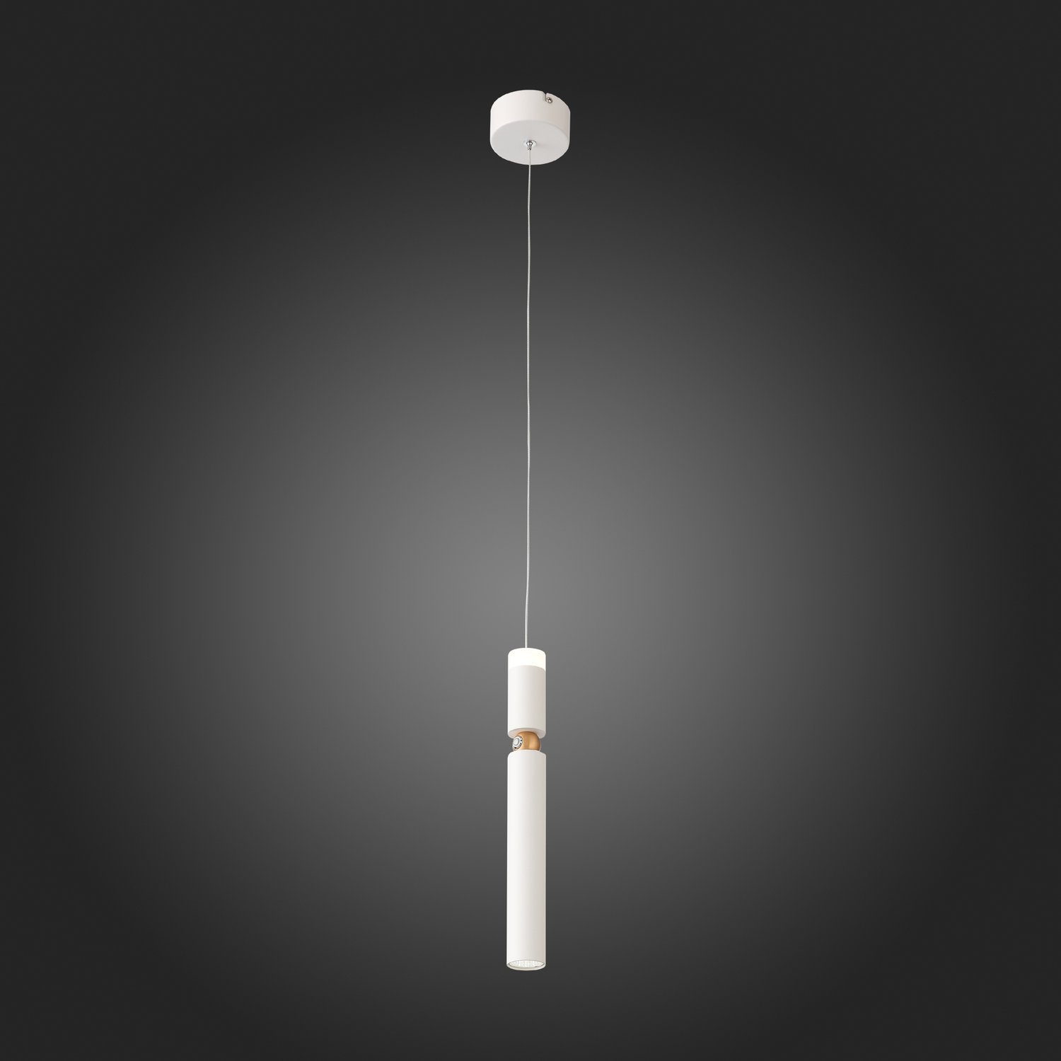 SL1592.503.01 Светильник подвесной ST-Luce Белый/Белый LED 1*6W 3000K TUORE