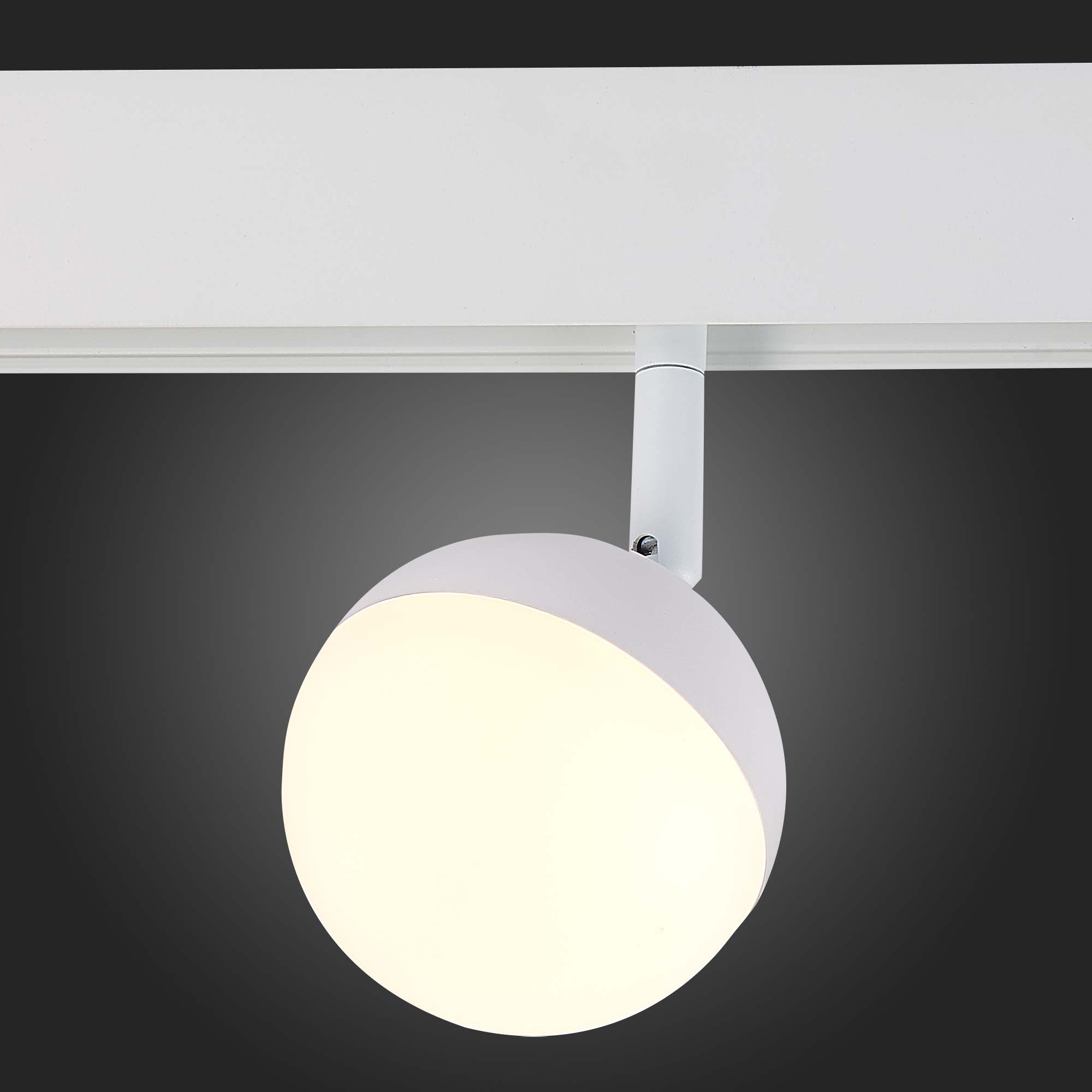 ST358.536.07 Магнитный трековый светильник Белый LED 1*7W 3000K 520Lm Ra>80 120° IP20 L120xW90xH192 48V SKYLINE 48